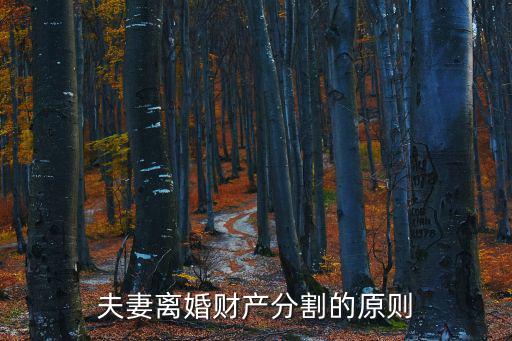 夫妻離婚時(shí)財(cái)產(chǎn)分割原則，夫妻離婚財(cái)產(chǎn)分割的原則