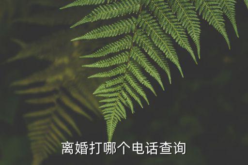 離婚打哪個電話查詢