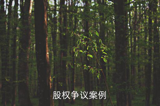 股權(quán)爭議案例