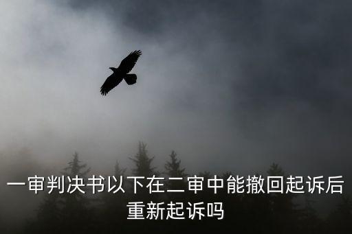 一審判決書以下在二審中能撤回起訴后重新起訴嗎