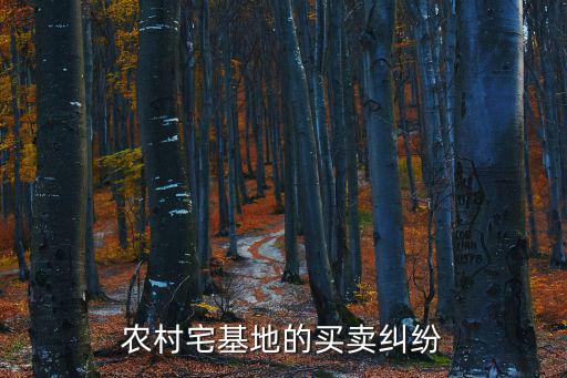 農(nóng)村宅基地的買賣糾紛