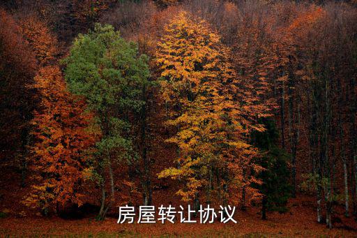 房屋轉(zhuǎn)讓協(xié)議