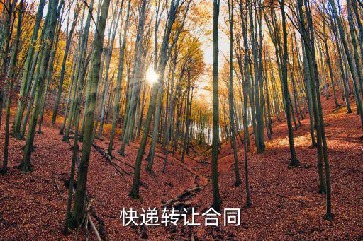 快遞轉(zhuǎn)讓合同