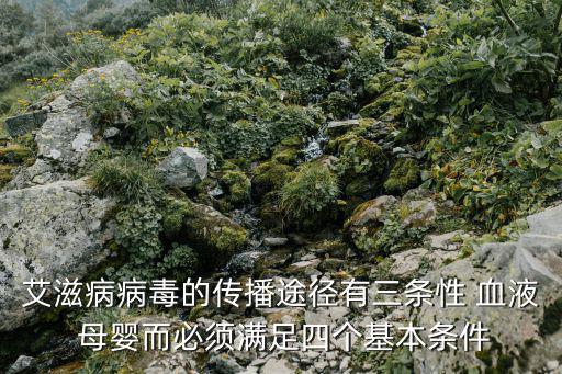 艾滋病病毒的傳播途徑有三條性 血液 母嬰而必須滿足四個(gè)基本條件