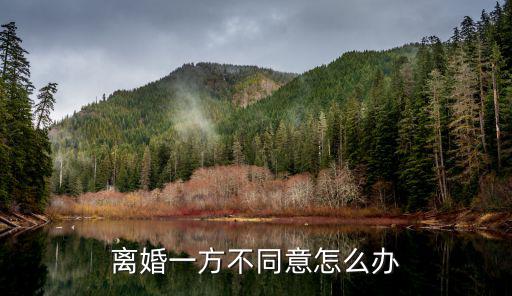一方不同意離婚該怎么辦，請問我想離婚可一方不同意該怎么辦