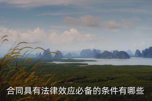 合同有效的條件法條，合同合法的有效條件