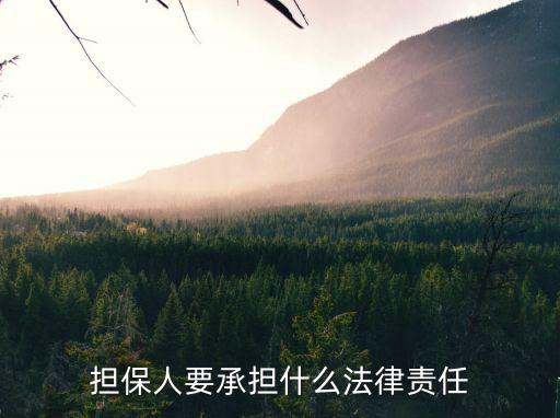 合同擔保人承擔的責任，擔保人承擔的責任是什么