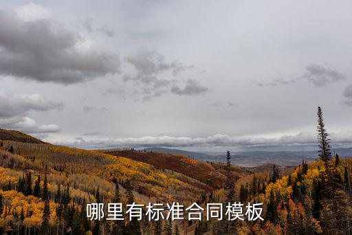 合同要約模板圖片，協(xié)議書模板