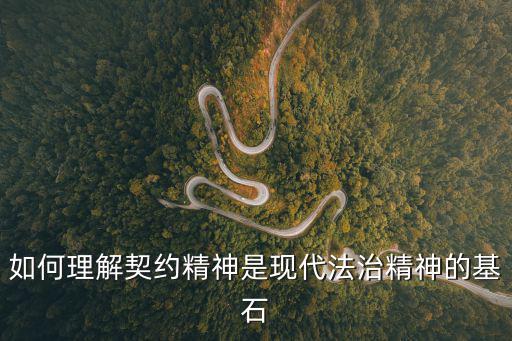 民法的契約精神，什么是民法的精神