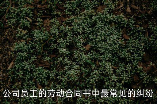 公司員工的勞動(dòng)合同書(shū)中最常見(jiàn)的糾紛