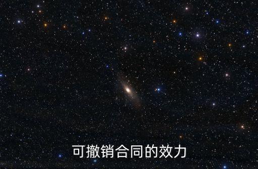 可撤銷合同的效力