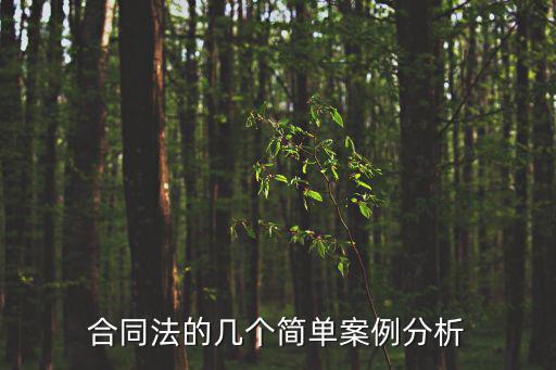 合同法的幾個(gè)簡(jiǎn)單案例分析