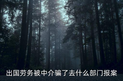 出國勞務被中介騙了去什么部門報案