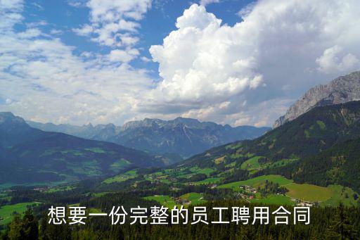 聘用合同模板電子版，想要一份完整的員工聘用合同