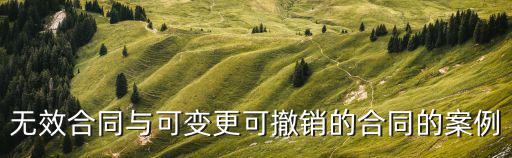無(wú)效合同與可變更可撤銷(xiāo)的合同的案例
