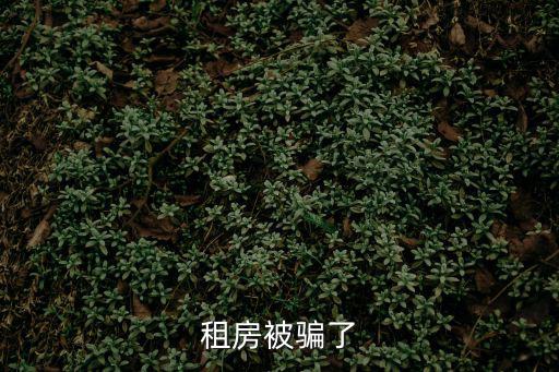 租房被騙了