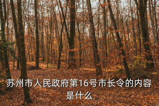 市政府令是規(guī)章，2009年沈陽市人民政府7號令規(guī)定
