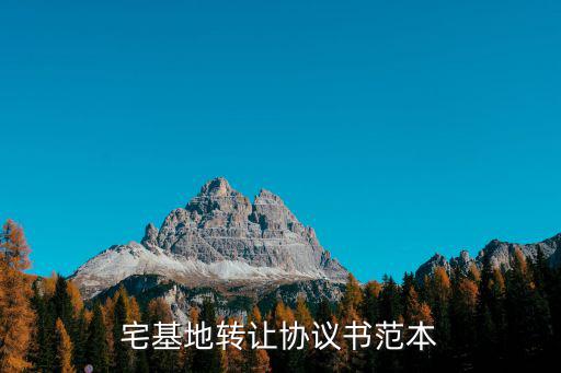 宅基地轉(zhuǎn)讓協(xié)議書范本
