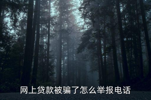培訓(xùn)貸款騙局去哪投訴，網(wǎng)上貸款被騙了怎么舉報(bào)電話