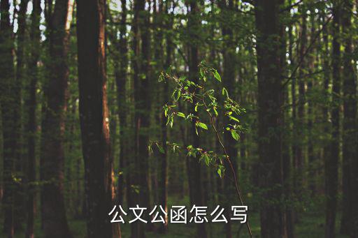 政府公函格式范文，公文公函怎么寫(xiě)