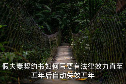 假夫妻契約書如何寫要有法律效力直至五年后自動失效五年