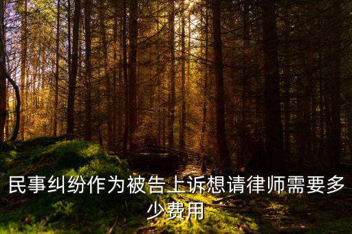 民事糾紛作為被告上訴想請(qǐng)律師需要多少費(fèi)用