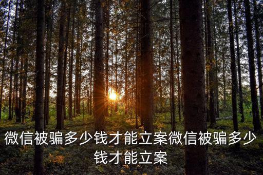 微信被騙多少錢才能立案微信被騙多少錢才能立案