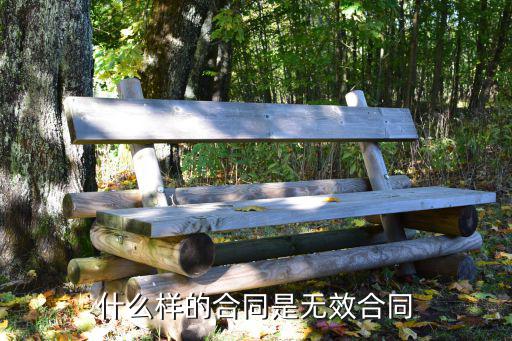 舉例說(shuō)明無(wú)效合同的類(lèi)型包括，勞動(dòng)合同無(wú)效情形包括哪幾種