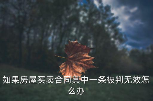 如果房屋買賣合同其中一條被判無效怎么辦