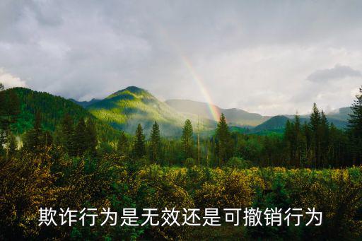 民事欺詐可撤銷，一方以欺詐手段使對方在違背真實意思的情況下所為的民事行為是可
