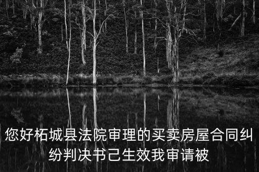 您好柘城縣法院審理的買賣房屋合同糾紛判決書己生效我審請被