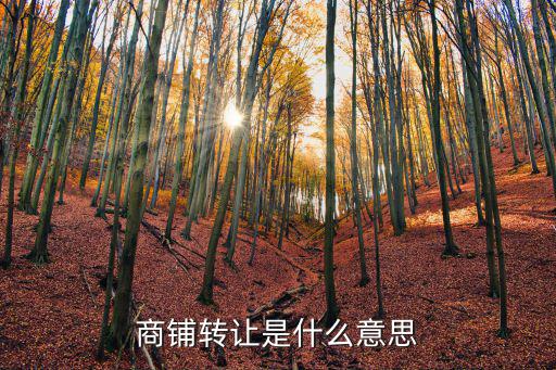 商鋪轉讓，昆明哪個網(wǎng)站轉讓鋪面要方便點我有個30平米的鋪面想轉讓