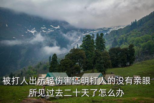 被打人出示輕傷害證明打人的沒有親眼所見過去二十天了怎么辦