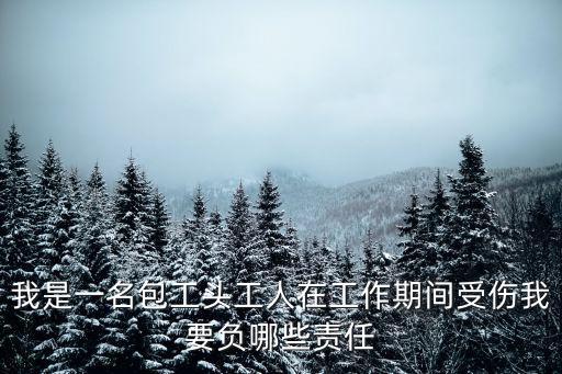 我是一名包工頭工人在工作期間受傷我要負(fù)哪些責(zé)任
