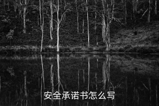 施工安全承諾書(shū)簡(jiǎn)潔，安全承諾書(shū)怎么寫(xiě)