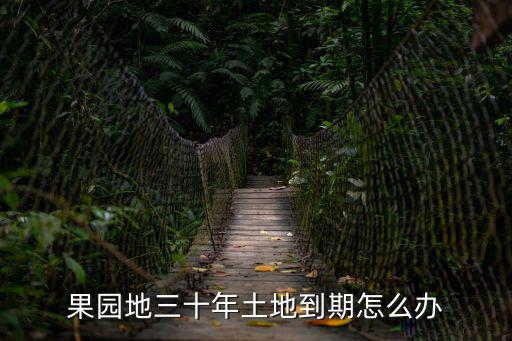 農村土地30年到期之后怎么辦，果園地三十年土地到期怎么辦