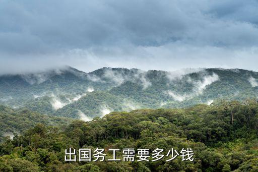 出國務(wù)工需要多少錢