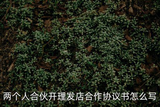 兩個(gè)人合伙開理發(fā)店合作協(xié)議書怎么寫