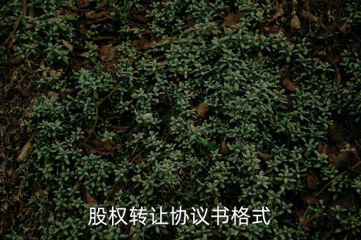 股權(quán)轉(zhuǎn)讓協(xié)議書(shū)格式