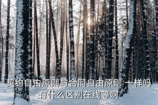 契約自由原則與合同自由原則 一樣嗎有什么區(qū)別在線等啊