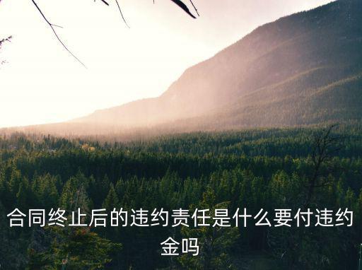 合同終止 違約條款，合同終止后的違約責(zé)任是什么要付違約金嗎