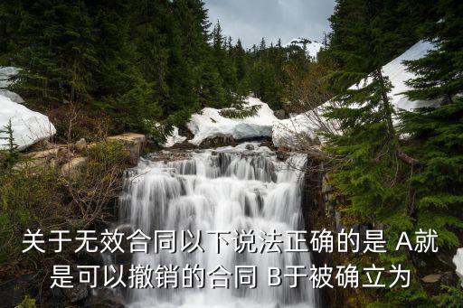 關(guān)于無效合同以下說法正確的是 A就是可以撤銷的合同 B于被確立為