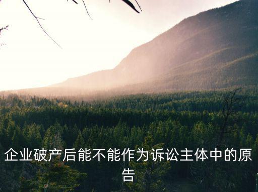 企業(yè)破產(chǎn)后能不能作為訴訟主體中的原告