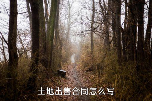 土地出售合同怎么寫