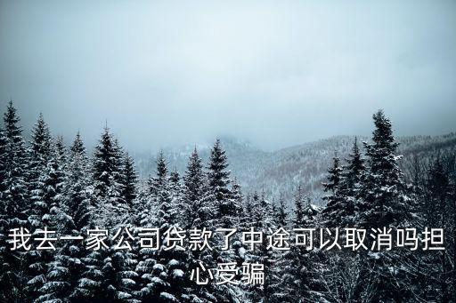 被騙的貸款能撤銷嗎，注銷學生貸被騙貸款的錢還能追回來嗎