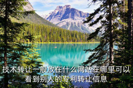 個人技術(shù)轉(zhuǎn)讓網(wǎng)，技術(shù)轉(zhuǎn)讓一般放在什么網(wǎng)站在哪里可以看到別人的專利轉(zhuǎn)讓信息