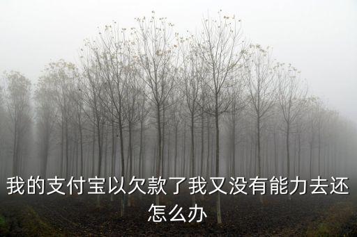 我的支付寶以欠款了我又沒有能力去還怎么辦