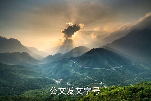 政府公文文號規(guī)范，行政公文中信函格式的公文其發(fā)文字號的位置