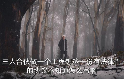 三人合伙做一個(gè)工程想簽一份有法律性的協(xié)議不知道怎么寫啊