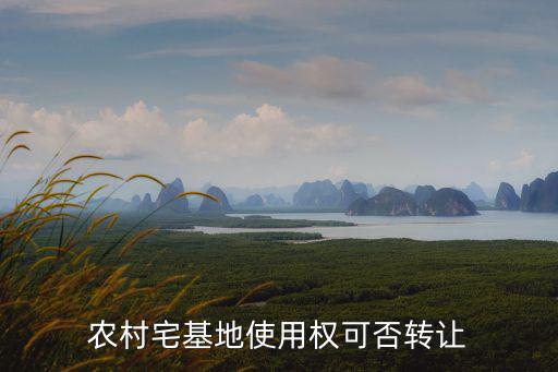 農(nóng)村宅基地使用權(quán)可否轉(zhuǎn)讓